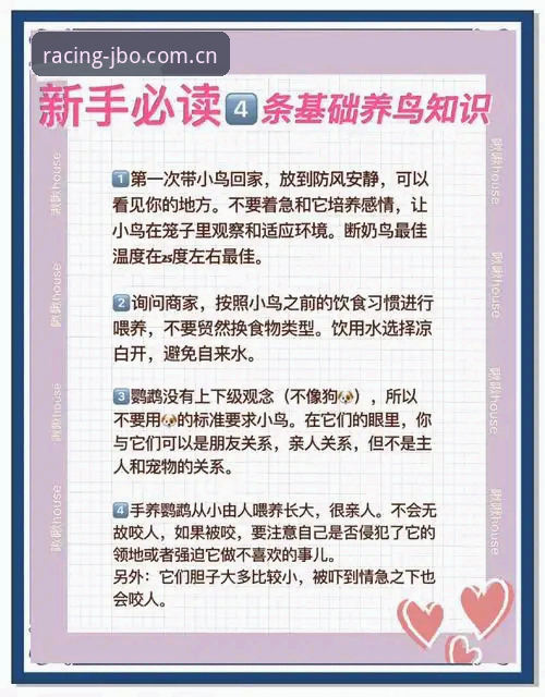 JBO注册教程推荐：从新手到老鸟的实用指南